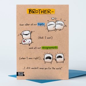 Birthday Card Ideas For Brother Birthday Card I Wouldnt Swap You Brother