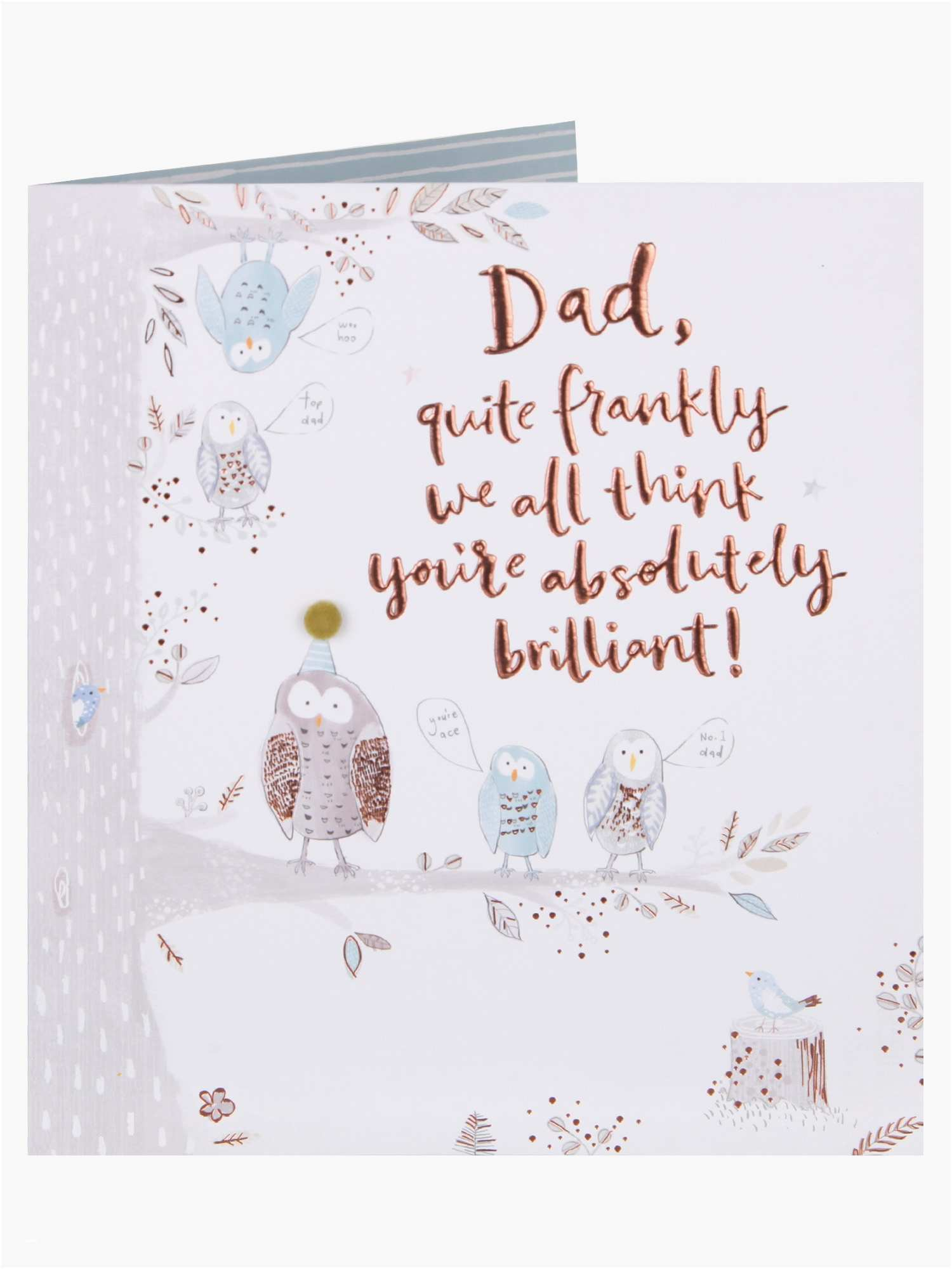 Birthday Card Message Ideas Dad Birthday Card Message Ideas 70th From Daughter Wording Text 50th
