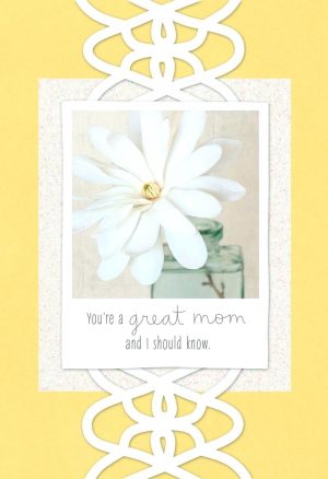 Funny Birthday Card Ideas For Mom Mom Birthday Cards Avoicefor