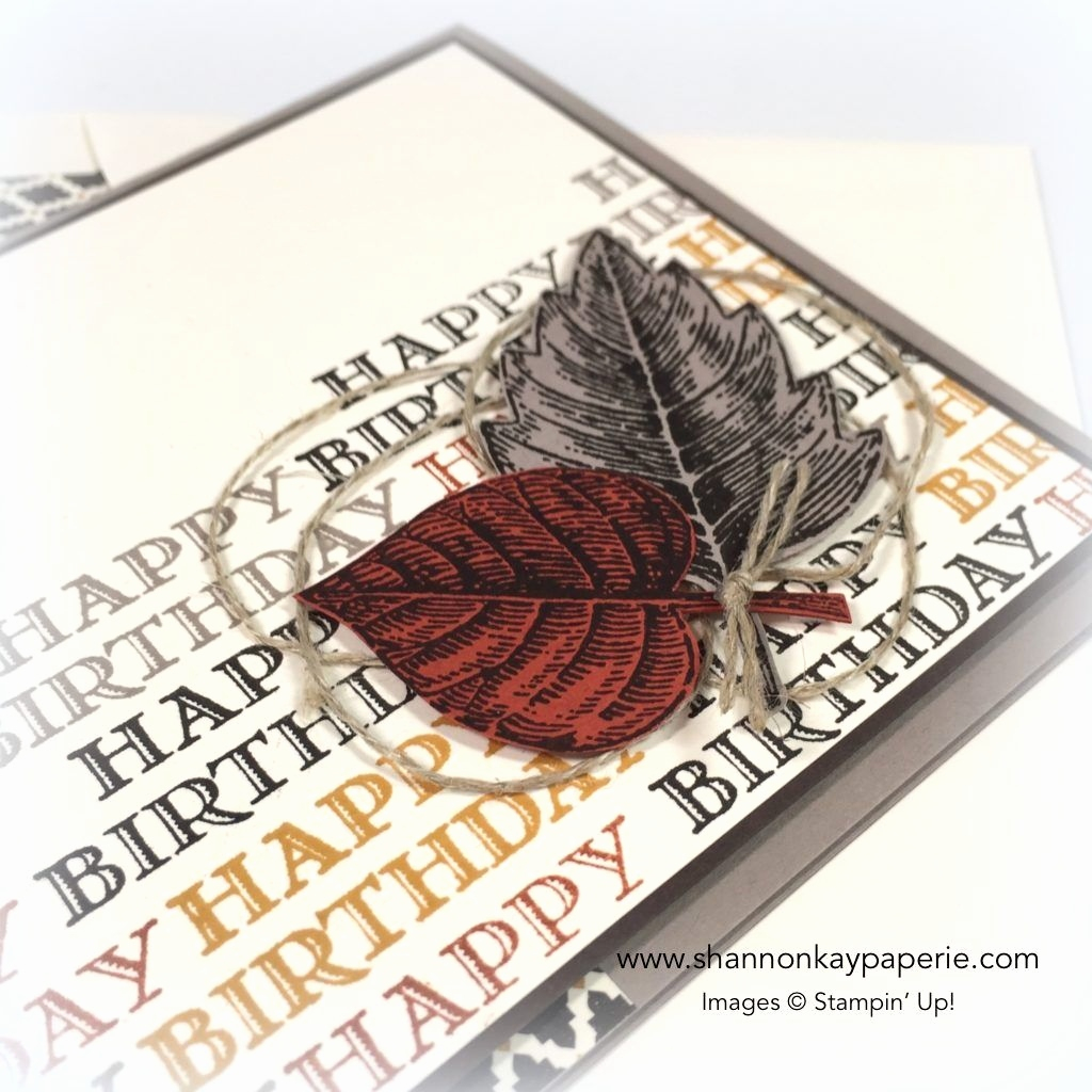 Guy Birthday Card Ideas Stampin Up Male Birthday Cards Ideas Fresh Masculine Birthday Card