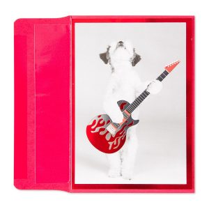 Ideas For Birthday Card Messages You Rock Dog With Guitar Birthday Card