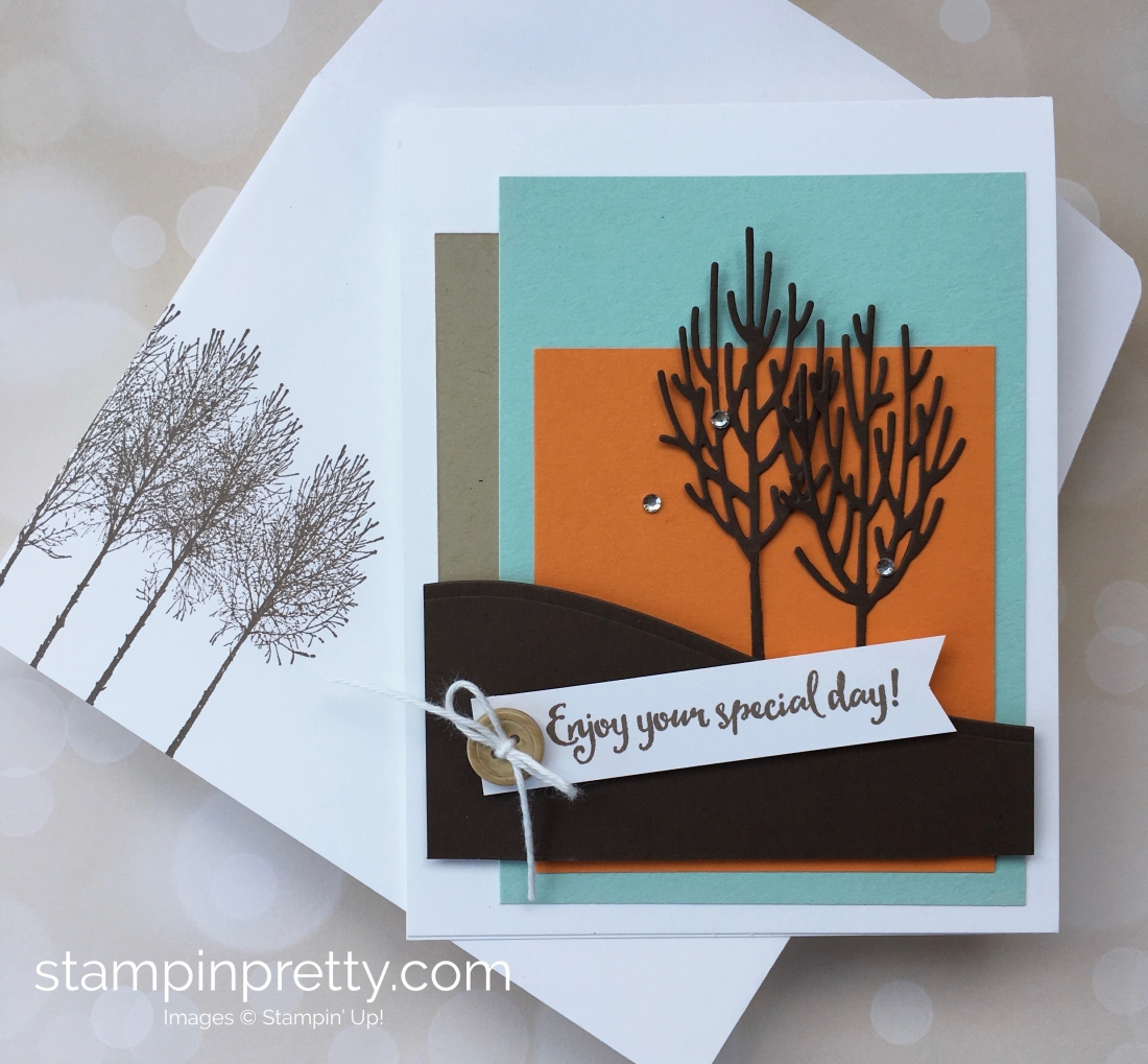 Stampin Up Masculine Birthday Card Ideas Simple Saturday With Winter Woods Stampin Pretty